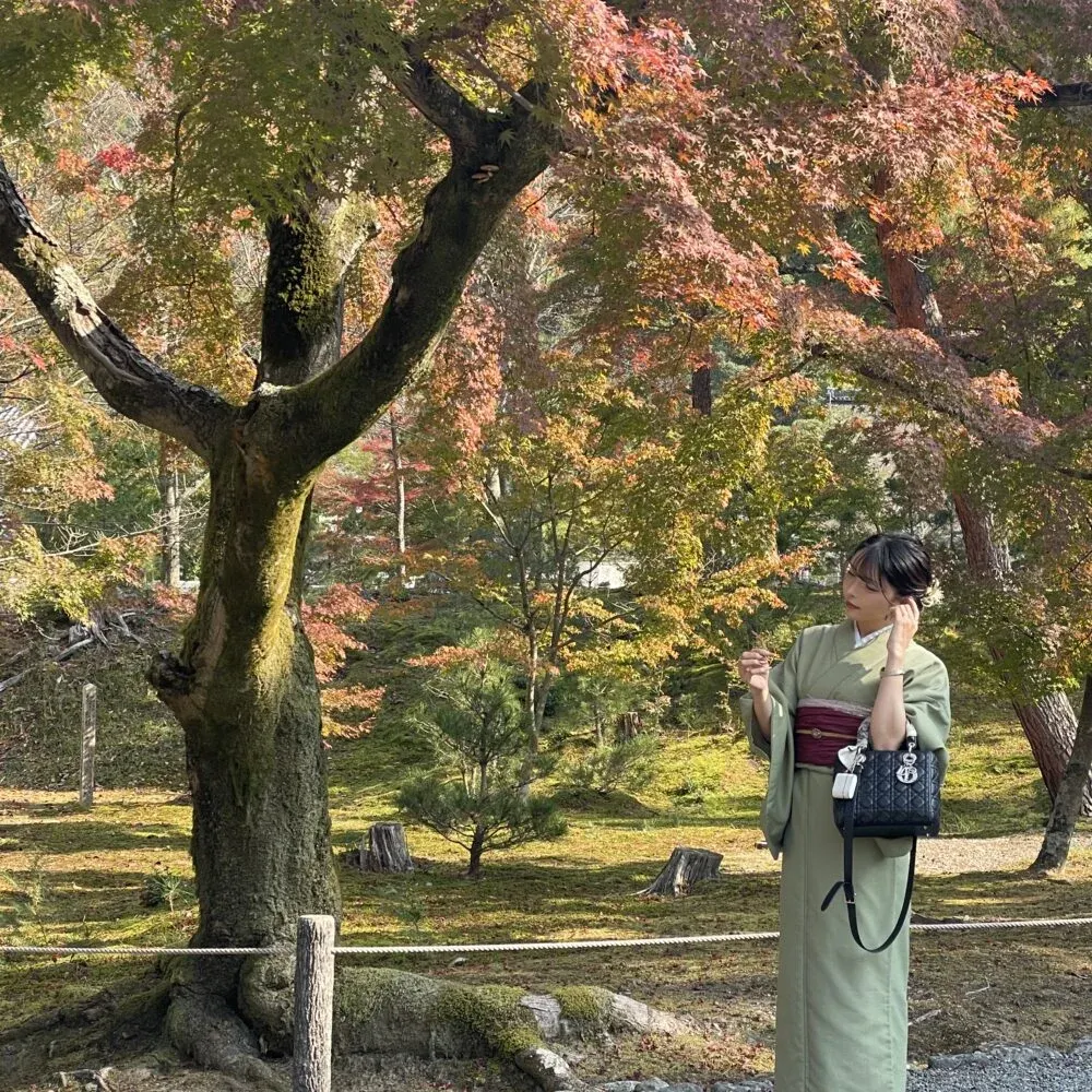 Torii et paysages du Japon